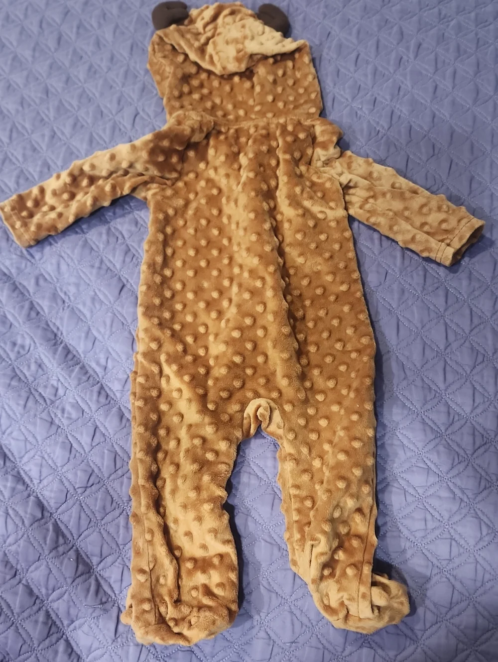 Rudolph The Red Nosed Reindeer cozy brown
